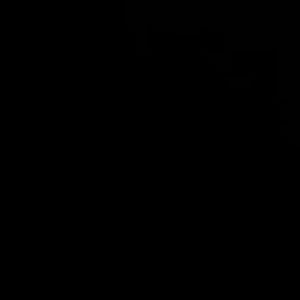 Meet your Posher, Novia